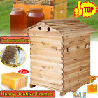 7PCS Honey Beehive Frame+wood Color Beehive Beekeeping Brooding Cedar Wooden Box