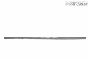 2009-2018 RAM 1500 FRONT LEFT DRIVER SIDE LOWER DOOR WEATHERSTRIP SEAL OEM - Picture 1 of 6