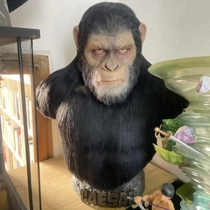 Blueboxhyper Ceasar Bust - Bild 1 von 8