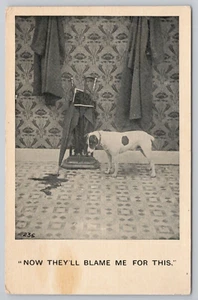 Postkarte Hund, der Puddel auf dem Boden betrachtet - jetzt werden sie mich für diesen Vintage beschuldigen - Bild 1 von 2
