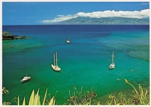 Sailboats in Honuloa Bay Maui Green Blue Sky Hawaii Vintage Postcard HI - Picture 1 of 2