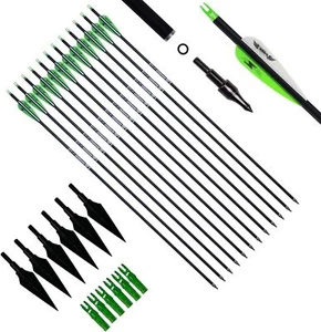 12pcs 31inch Carbon Arrows with Removable Tips and 6pcs Broadheads and Nocks - Picture 1 of 34