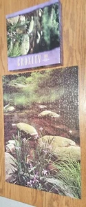 Rompecabezas MB Croxley 500 piezas Spring Iris Harriman State Park NY 14"x20" usado una vez en muy buen estado - Imagen 1 de 10