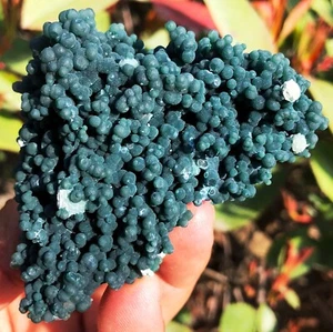 155g Natural Botryoidal Chalcedony Starlight Purple Grape Agate Specimen ie3366 - Picture 1 of 18