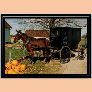 Postcard Amish Farm in Autumn Horse and Buggy Indiana Pumpkins - Picture 1 of 4