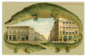 Alligator Border Florida 605 Jacksonville Bay Street - Picture 1 of 2