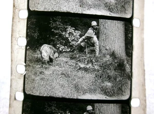 Vintage 1920s(?) 35mm comedy film Hunting in AFRICA - Picture 1 of 19