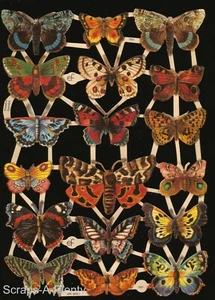 German Embossed Vintage Style Scrap Die Cut - Colorful Butterfly Moth  EF7221 - Picture 1 of 1