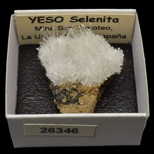 YESO Selenita (mina San Timoteo, La Union, Murcia) #26346 / Gypsum - Picture 1 of 1