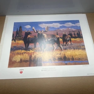 Ruger North Americans - S/N - "Sentinelle dell'Alaska" - 214/950 - Foto 1 di 11