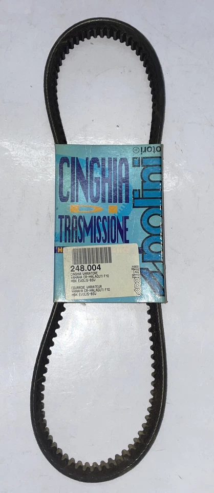 248004 Cinghia Polini Malaguti F10 50 - Mbk Evolis 50 - Imagen 1 de 1