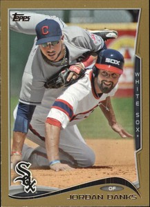 2014 Topps Gold Chicago White Sox Baseball Card #649 Jordan Danks/2014