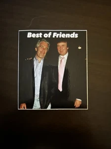 Trump Epstein Best of Friends Aufkleber 3” 3x3 3”x3” 3 Zoll Quadrat - Bild 1 von 3
