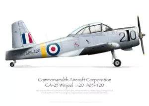 CAC Winjeel A85-420 RAAF - A3+ Profile Print - Foto 1 di 4