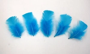 30 Pcs TURKEY PLUMAGE Feathers 2-5" TURQUOISE (Hats/Crafts/Halloween/Costume) - Picture 1 of 2