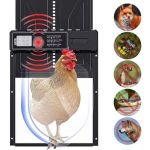 Intelligenter Einklemmschutz Große Automatische Hühnerklappe mit Timer Hühnertür - Bild 1 von 9