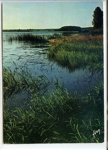 CP 57 Moselle - Dieuze - Etang de Lindre Basse - Picture 1 of 2