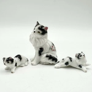60er Jahre Napco Bone China schwarz & weiß Katze Kätzchen Made in Japan - Bild 1 von 14