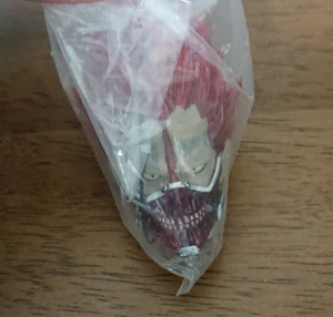 Mascota Cabeza Dorohedoro EN Como Nueva (Sin Abrir) - Imagen 1 de 8