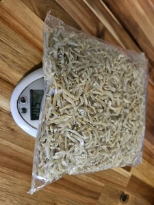 Acciughe essiccate acciughe Sabah, Malesia 500 g - Foto 1 di 2