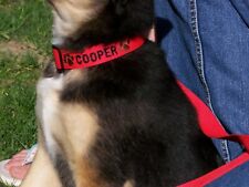 Personalized Dog Collar Embroidered with Name and Design Custom Made Dog Collar