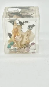 Vintage MCM Lucite Shell Water Paperweight  Florida - Picture 1 of 9