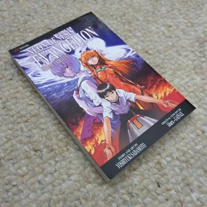 Neon Genesis Evangelion Vol 13 Manga English OOP Single Viz Media Gainax - Imagen 1 de 12