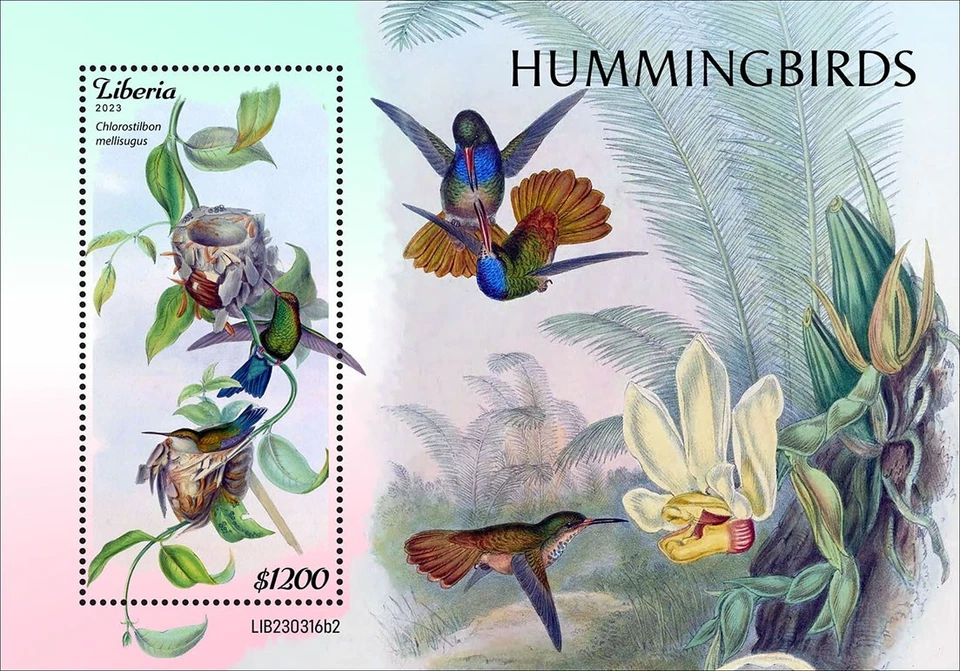 Estampillas Colibríes Colibrí MNH 2023 Liberia S/S Foto 1 de 1