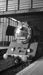 2 original Negative 03 0048 DR/ Berlin Zoo 1976 - Picture 1 of 2