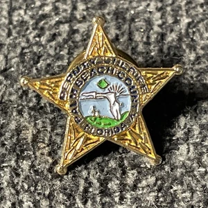 Palm Beach County FL Deputy Sheriff lapel pin Gold New - Picture 1 of 1
