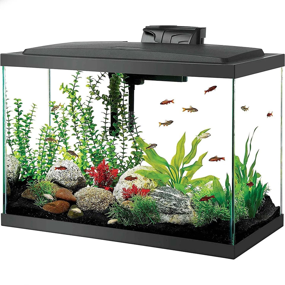 Aqueon LED 20 Galones Pecera Acuario LED Kit Set con Calentador, LED, Filtro y Tanque Foto 1 de 4