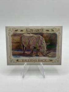 2021 Topps Allen & Ginter White Rhino #RB-7