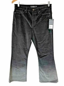 Hudson Black Velvet Ombre Flare Holly Pants Sz 30 / 10 High Rise Crop Jeans New - Picture 1 of 12