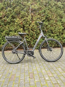 Fahrrad Pegasus Opero E8F DI2 Nabenschaltung 8-Gang Automatik - Bild 1 von 14