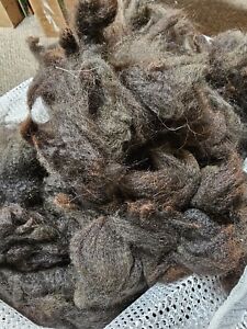 Alpaca Fiber 16 Oz. Raw Mostly Black With Some Brown Nesting
