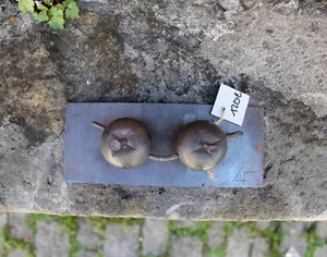 ALEXANDER FABI - Zwei Äpfel mit Bewohner (2024). Monogrammierte Kleinplastik. - Picture 1 of 6