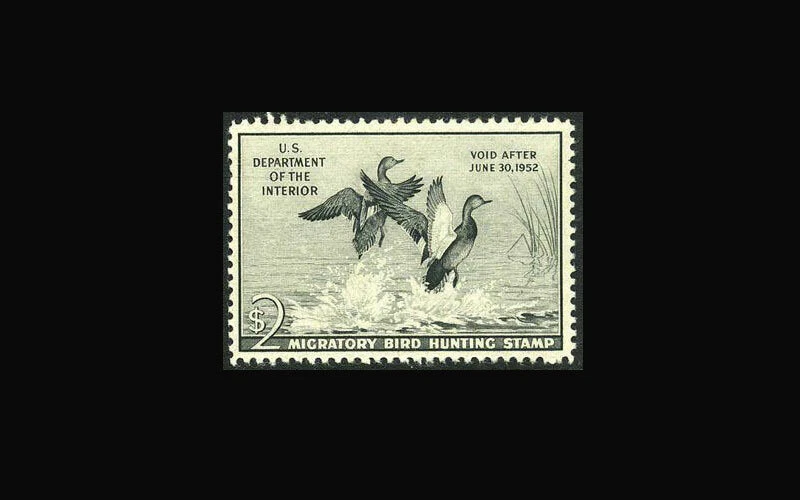 USA Federal Duck Stamp-Mint OG&H, XF S#RW18 fresh stamp with Very large margins - Image 1 of 1