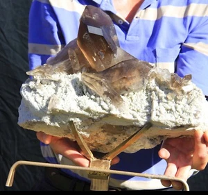 Museum Ex Large 28.9 lb 1.16 Foot Smoky Quartz on Matrix, Brazil w/Stand! Q133 - Picture 1 of 10