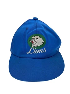 Seibu Mesh Cap Polyester Blu Men'S 40668 Seibu Lions Medium Stain IFK02 - Picture 1 of 7