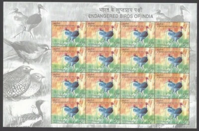 India 2006 Aves en Peligro de Extinción GRAN AYUDANTE CIGÜEÑA hoja MNH Foto 1 de 2