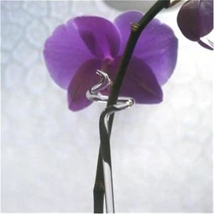 Orchideenstab Orchideenstäbe aus Glas Blumenstab Längen 20 - 68 cm Top Qualität  - Bild 1 von 13