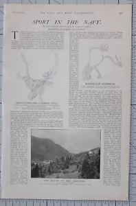 1901 PRINT SPORT IN THE NAVY HAUNT OF REINDEER  - Picture 1 of 2