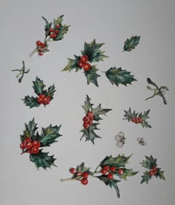 TWO RED ROBINS CHRISTMAS HOLLY LEAVES LEAF WITH RED BERRIES SPRIGS DIE CUTS 30 PIECE SET 220gsm