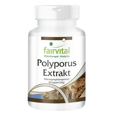 Polyporus Extrakt 500 mg - 90 Kapseln - 30 % Polysaccharide - Vitalpilz | VEGAN