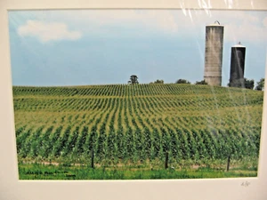 MATTED PHOTOGRAPHY Field of Corn Farm Silo A/P 16x20 By Larry Santucci - Picture 1 of 3