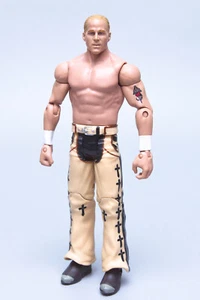 WWE Ultimate Rivals Series 1 2010 Shawn Michaels figura de lucha libre envío gratuito - Imagen 1 de 12