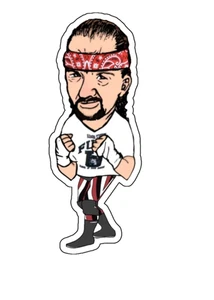 Terry Funk Retro Wrestling Legend Custom Vinyl DieCut Sticker 4x2.5 - Picture 1 of 1