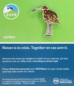 RSPB Pin Badge Curlew NIIC 03062 - Picture 1 of 1