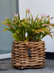 A2 Living Rattan Korb quadratisch 27 x 27 x 24 cm  Pflanzkorb Übertopf Dekokorb - Bild 1 von 14