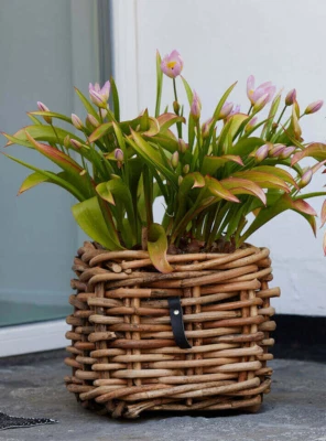 A2 Living Rattan Korb quadratisch 27 x 27 x 24 cm  Pflanzkorb Übertopf Dekokorb - Bild 1 von 4